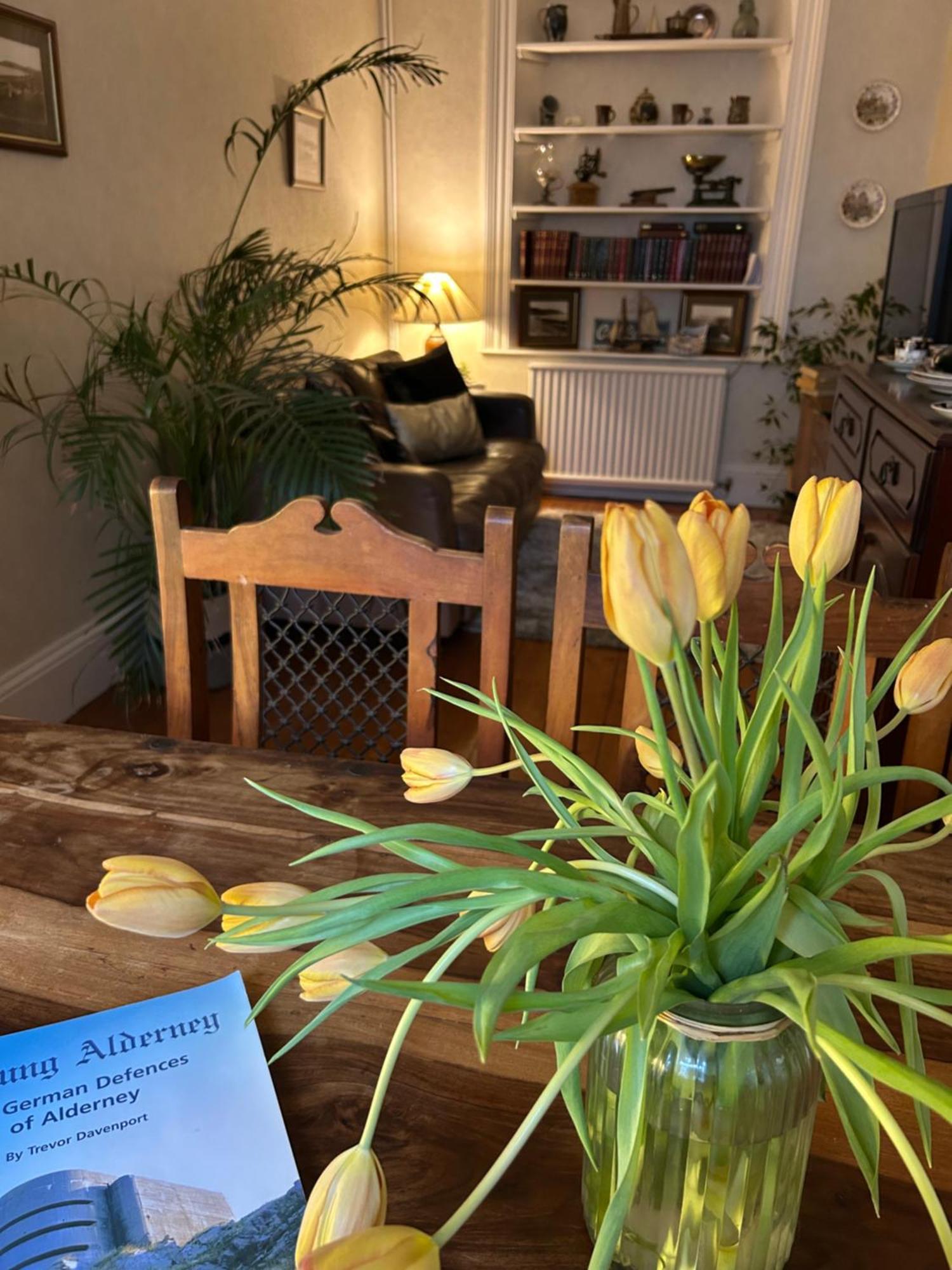 Bonjour Guest House Braye Dış mekan fotoğraf